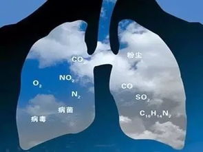 空气污染的健康影响与芜湖首启监测评估的实践意义